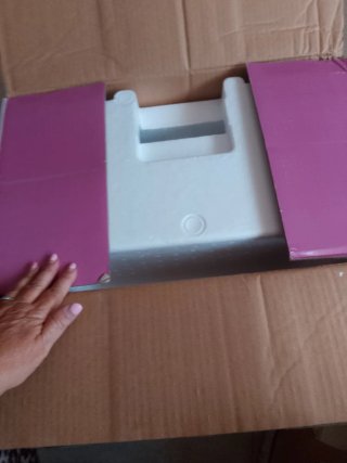 Máquina de coser Singer Starlet 6699