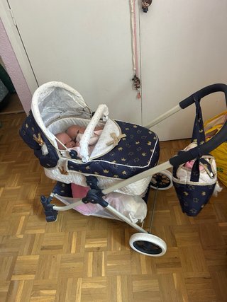 2 Muñecas Reborn con carrito y ropita