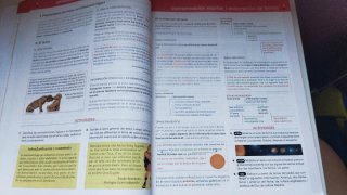 Libro lengua castellana y literatura 4ESO