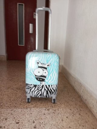 Maleta cabina 4 ruedas cebra