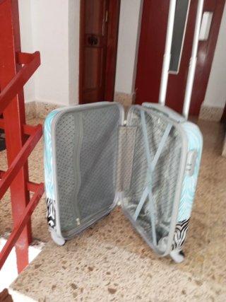 Maleta cabina 4 ruedas cebra
