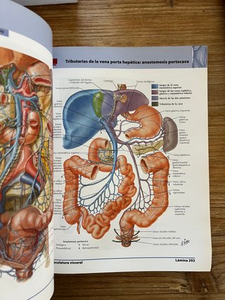 Atlas de anatomía humana