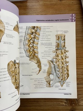 Atlas de anatomía humana