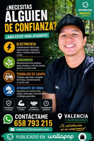 Electricista, jardinero, trabajos de construcción