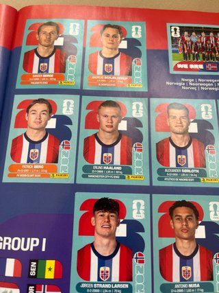 Álbum Mundial Panini 2026 (89% Completo)