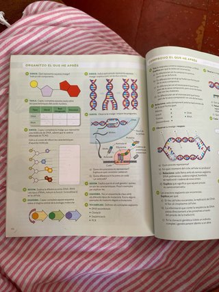 BIOLOGIA I GEOLOGIA 4 SEC CONSTRUINT MONS