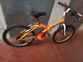 Bicicleta