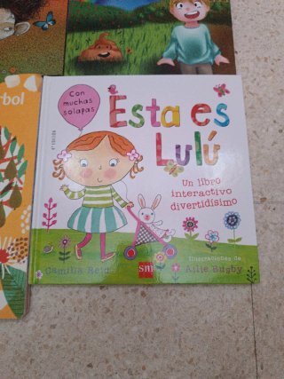 Lote libros