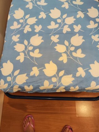 Cama Plegable Azul con Ruedas + colchón.