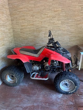 Quad Hammel 250cc 2 personas
