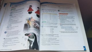 Synchronize 4 Oxford – Student’s Book Pack B1+ 4º