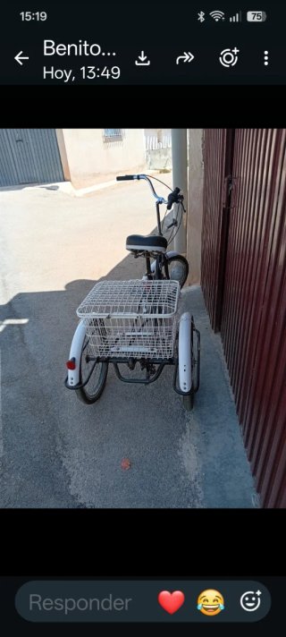 Bicicleta de tres ruedas con cesta