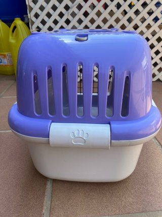 Transportín para gato