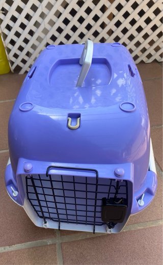 Transportín para gato
