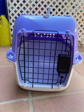 Transportín para gato
