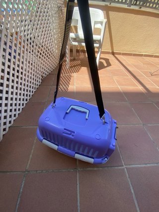 Transportín para gato