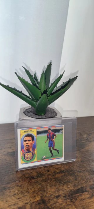 Cromo Ronaldo Nazário FC Barcelona 96/97 CON PELO