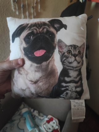 Cojín mini perro y gato