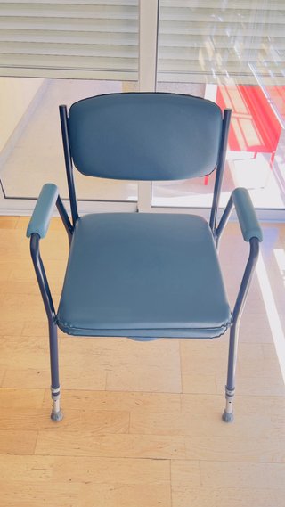 Silla WC Acolchada con Inodoro Portátil