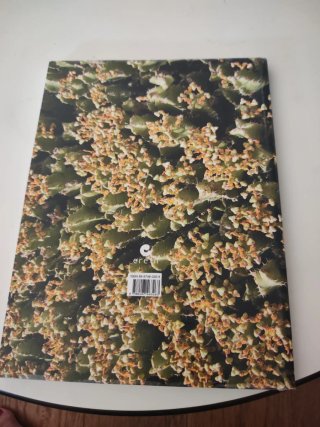 Murgil DBH 4 Euskal Hizkuntza eta Literatura