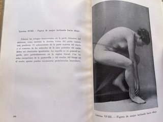 Anatomía artística