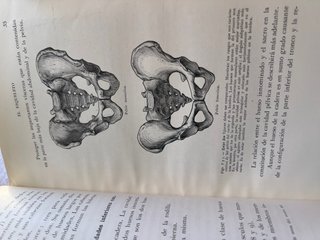 Anatomía artística