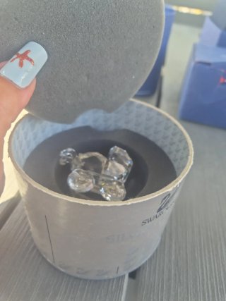 Carrozza Swarovski Cristallocon scatola originale