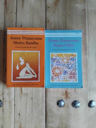 Yoga libros