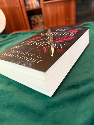 De Sangre y Cenizas - Libro 1