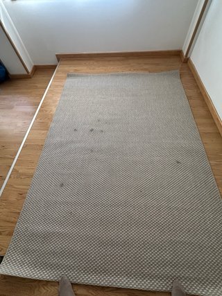 2 Alfombras Beige 160x227 cm