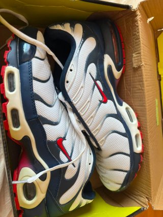Nike Air Max Plus TN 44