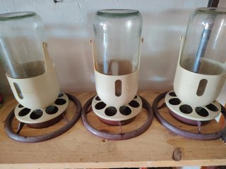 Comederos y bebederos para pájaros