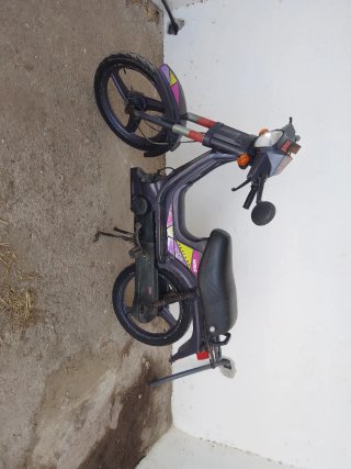 Derbi Variant Top