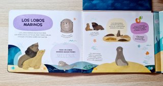 Animales del Océano Para Escribir, Borrar Y Escuch