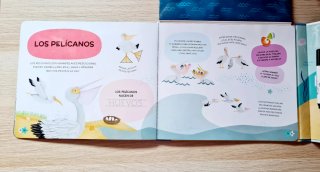 Animales del Océano Para Escribir, Borrar Y Escuch