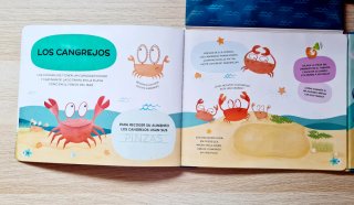 Animales del Océano Para Escribir, Borrar Y Escuch
