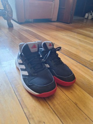 Zapatillas Adidas Baloncesto Negras y Rojas