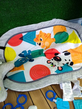 Gimnasio Actividades Musical Baby Einstein