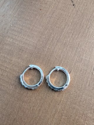 Orecchini cerchio acciaio inox con zirconi