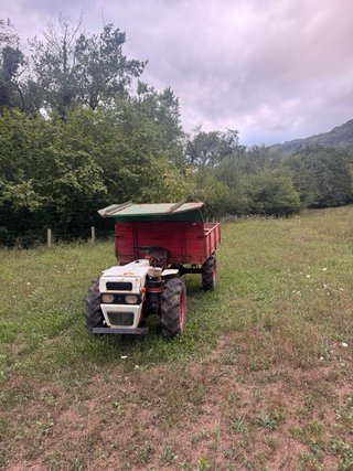 Tractor Pascuali 956