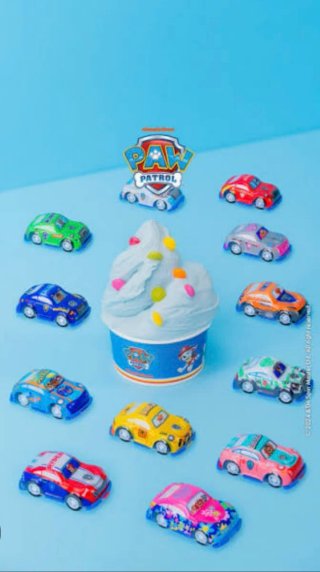 Paw Patrol 12 Macchinine Collezione Completa