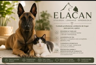 ELACAN Residencia y educación canina-felina