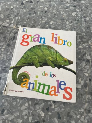 4 cuentos bilingües español-inglés, gratis