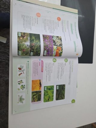CIENCIAS DA NATUREZA 5 PRIMARIA CONSTRUINDO MUNDOS