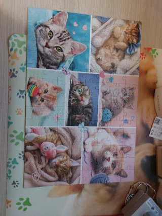 Puzzle Trefl 100 Piezas Gatitos
