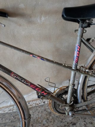 Bicicletas Colnago y BH Gacela