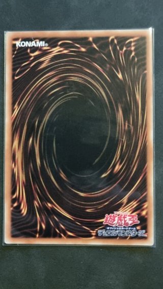Stardust Dragon - Victim Sanctuary Secret Parallel