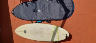 Surfboard single fin Elements Wild Cat 6'6" 43L