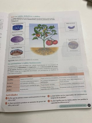 libro de biologia de primero  de bachillerato