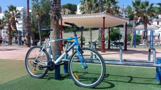 Bicicleta clásica MTB 26